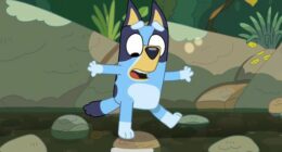 9PR: Bluey