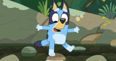 9PR: Bluey