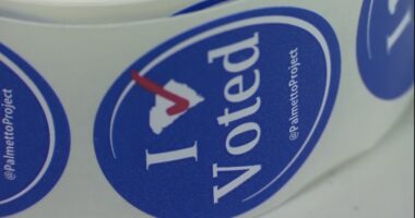 SC gubernatorial candidate calls for redrawing of state's congressional districts