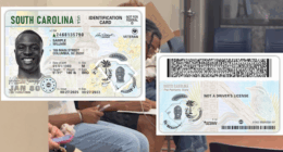 SCDMV announces new, more secure drivers license