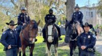Savannah PD adds Clydesdale to Mounted Patrol