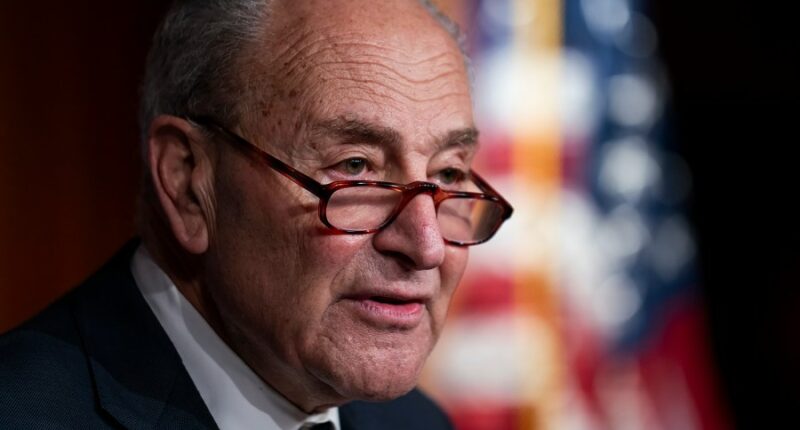Schumer demands RFK Jr. firing over CDC chaos