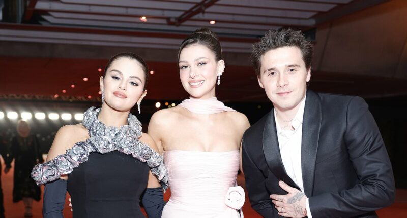 Selena Gomez has 'not spoken to Nicola Peltz  in months'