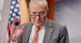 Senate heads home with no deal to speed confirmations as irate Trump tells Schumer to 'go to hell'
