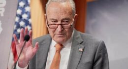 Senate heads home with no deal to speed confirmations as irate Trump tells Schumer to 'go to hell'