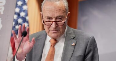 Senate heads home with no deal to speed confirmations as irate Trump tells Schumer to 'go to hell'