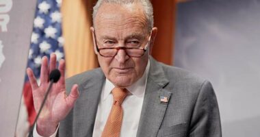 Senate heads home with no deal to speed confirmations as irate Trump tells Schumer to 'go to hell'