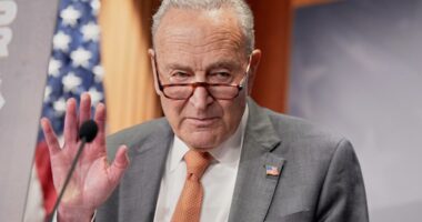 Senate leaves DC without deal on Trump's nominees