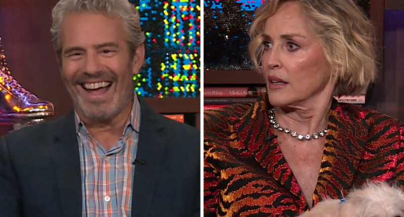 Sharon Stone shares intrusive thoughts about fellow actresses she competed against for movie roles: “I hope they die”