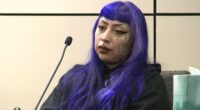 Sick details of how purple-haired mom 'helped son, 13, plan mass school shooting as a reward for babysitting'