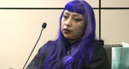 Sick details of how purple-haired mom 'helped son, 13, plan mass school shooting as a reward for babysitting'