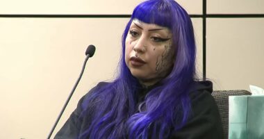 Sick details of how purple-haired mom 'helped son, 13, plan mass school shooting as a reward for babysitting'