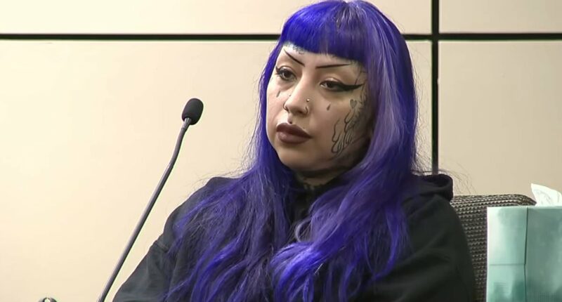 Sick details of how purple-haired mom 'helped son, 13, plan mass school shooting as a reward for babysitting'