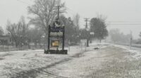 Surprisingly, snow started to fall in northern NSW at 11am today, specifically in Uralla and Guyra,