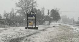 Surprisingly, snow started to fall in northern NSW at 11am today, specifically in Uralla and Guyra,
