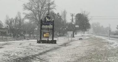 Surprisingly, snow started to fall in northern NSW at 11am today, specifically in Uralla and Guyra,