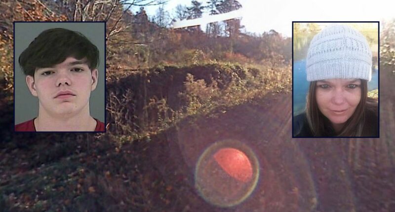 Son killed his sleeping mother for taking his cellphone away