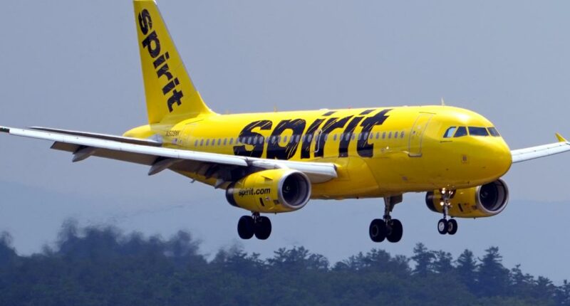 Spirit Airlines casts 'substantial doubt' over its ability to stay in business