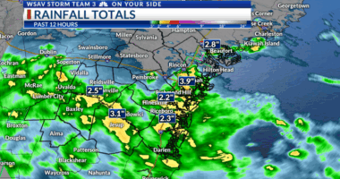 Storm Team 3: Cooler with Rain and Storms Likely Again Sunday