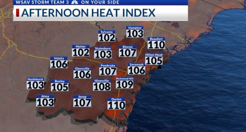 StormTeam 3: Hot & humid today with only isolated storms