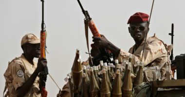 Sudan's Rapid Support Forces kill 40 people in North Darfur displacement camp attack