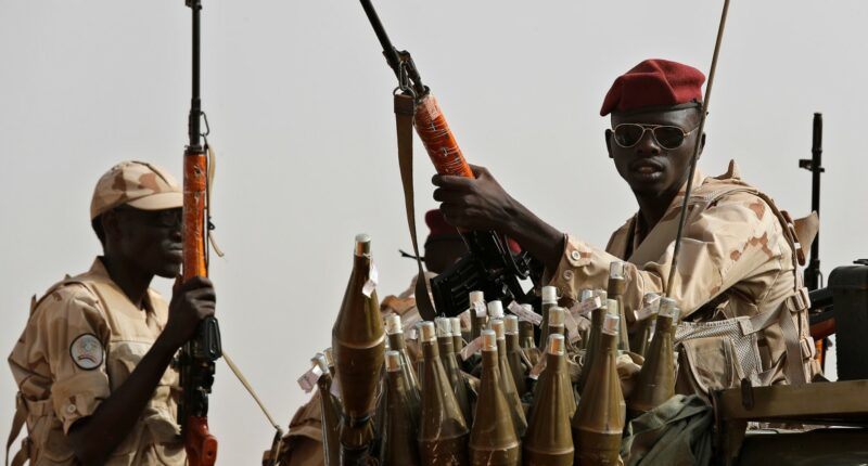 Sudan's Rapid Support Forces kill 40 people in North Darfur displacement camp attack