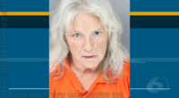Susan Rhodes arrested, charged with hit-and-run