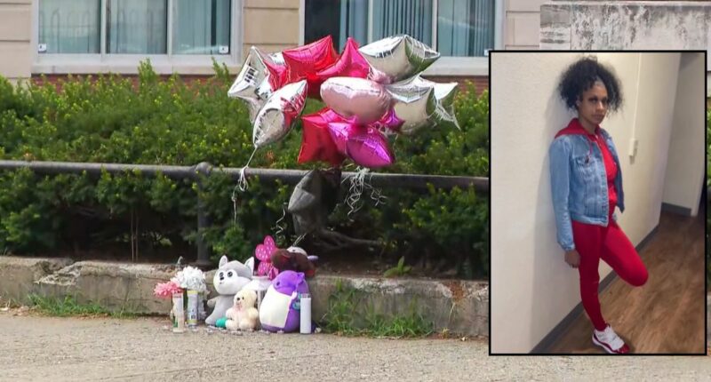 Suspect at large after mom of 2 is shot at bus stop: Police