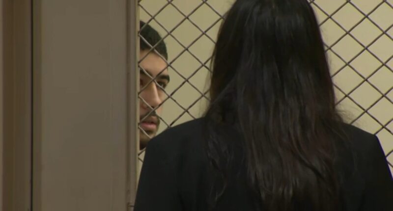 Suspect in Encino, Los Angeles killings of 'American Idol' exec, husband ordered to mental health court