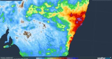 Unfortunately for NSW and parts of Queensland, the wet and cold weather is about to get much worse, according to The Bureau of Meteorology's ﻿Senior Meteorologist, Angus Hines.