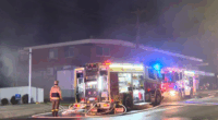 Sydney supermarket firebombed