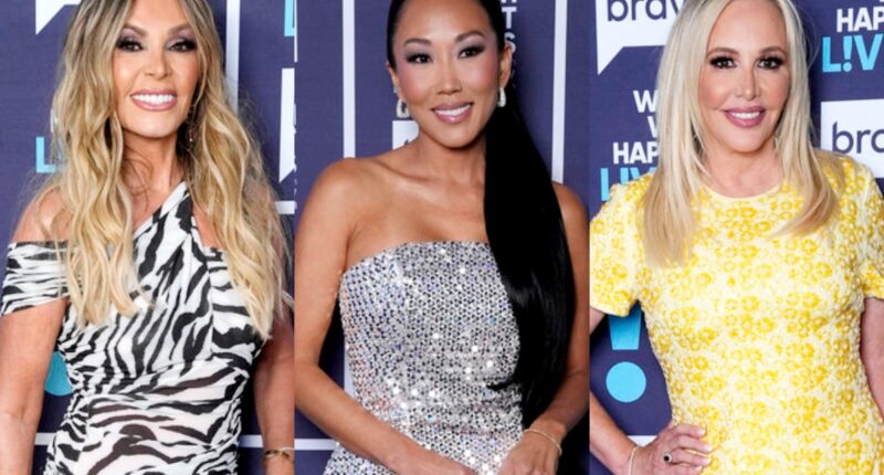 Tamra Judge Defends Katie, Says Shannon