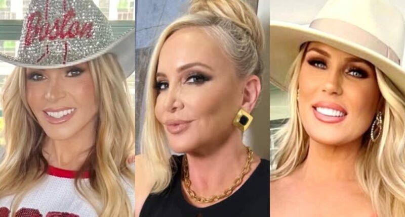 Tamra Judge Takes a Dig at Shannon's DUI and Calls Out RHOC Cast's Lack of Compassion as Gretchen Claps Back