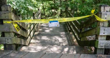 Teacher charged with killing of hikers at Arkansas park pleads not guilty to murder