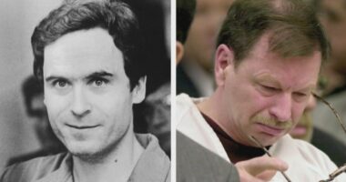 Ted Bundy gave 'crucial information' to help catch Green River Killer