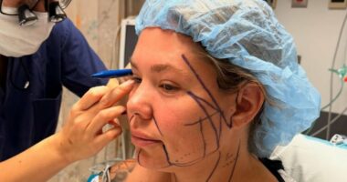 Teen Mom’s Kailyn Lowry Documents the ‘Farewell Tour’ for Her ‘Double Chin’