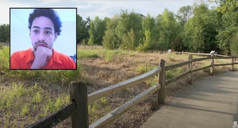 Teen attacks woman, 82, leaving her unconscious: Cops