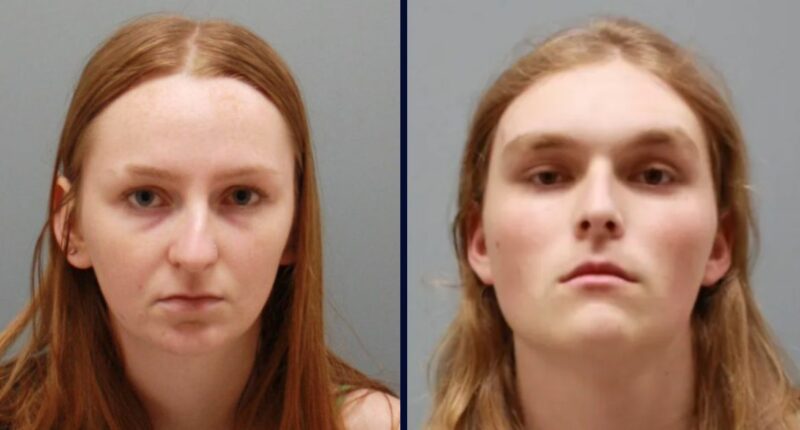 Teen, boyfriend tortured younger brother causing death: Cops