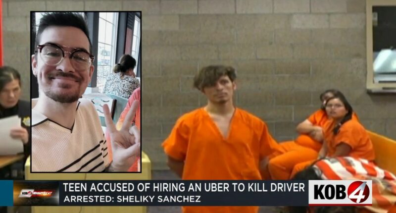 Teen gunned down Uber driver to 'let some steam off': Police