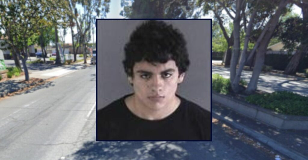 Teen livestreamed random stabbing on Discord: Cops