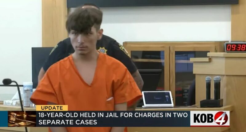 Teen who killed Uber driver faces new charges: Prosecutors