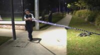 Teenager arrested over stabbing spree at city park