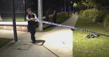 Teenager arrested over stabbing spree at city park