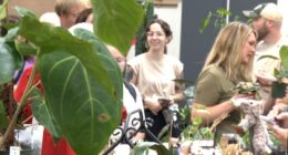 Tennessee Plant Show turns Johnson City into plant lover's paradise