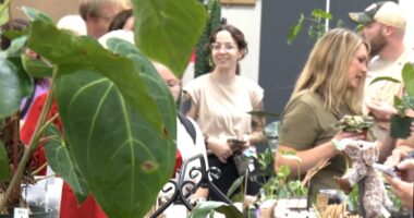 Tennessee Plant Show turns Johnson City into plant lover's paradise