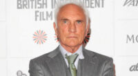 Terence Stamp dead aged 87