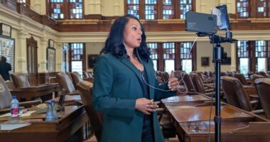 Texas Democrat Nicole Collier slams GOP in interview from state House floor