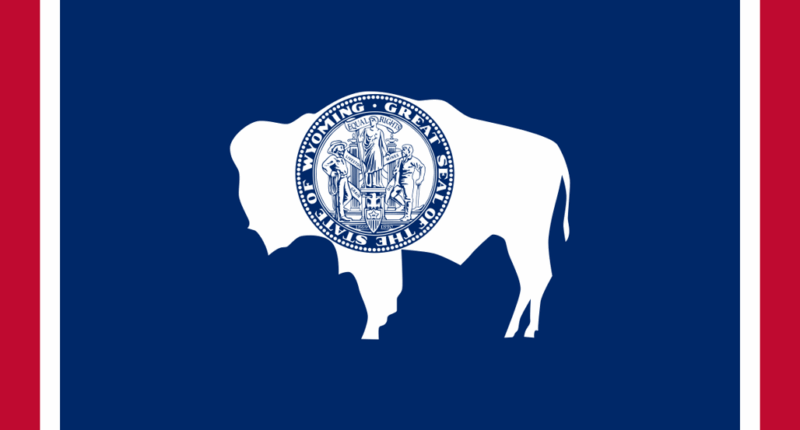 The First State Backed Stablecoin