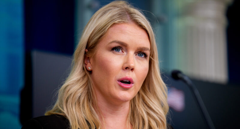 The Glaring Red Flags Karoline Leavitt Is Next On Trump's Breakup List