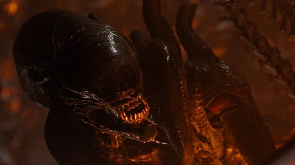 The Only Xenomorph Explainer You Need Before Alien: Earth